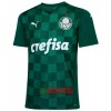 Oficiální Fotbalový Dres Palmeiras Domácí 2021-22 pro Muži